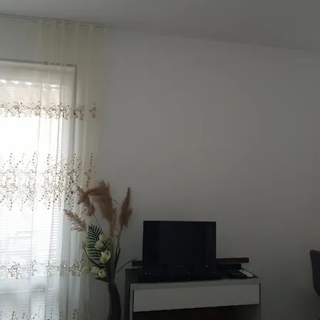 Студио 